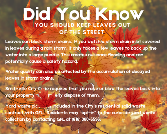 Leaves out of the street